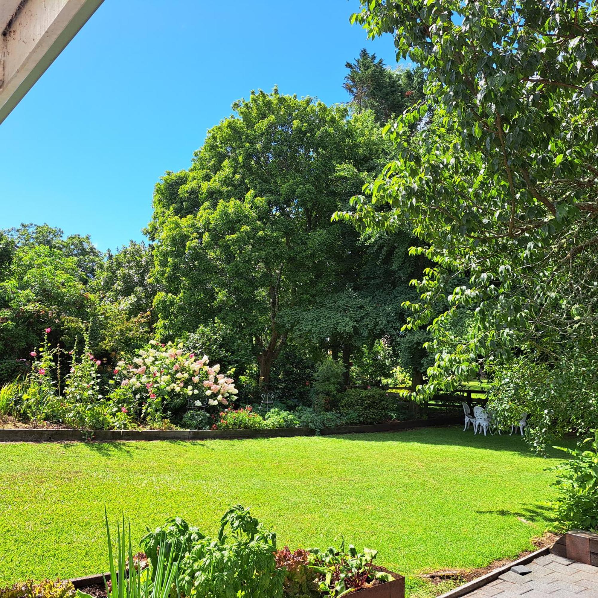 The Homestead Taupo Exterior photo